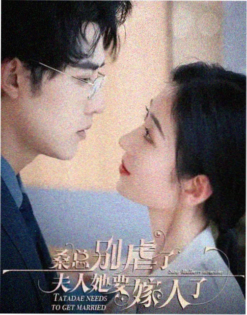 天天高清影视年代剧集九号线以南封面